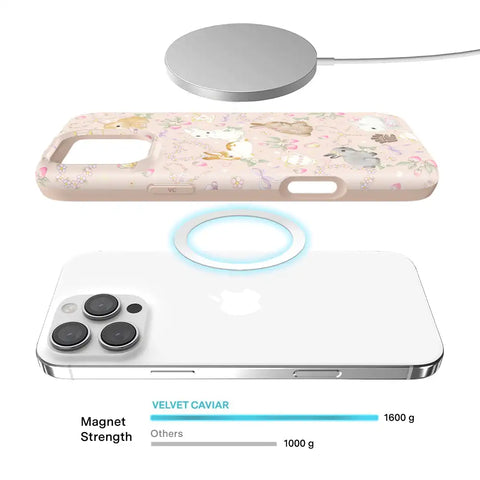 Bunnies & Bows iPhone Case