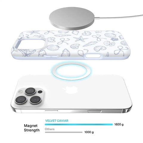 Coastal Seashells iPhone Case