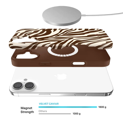 Coco Zebra iPhone Case