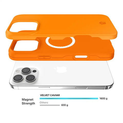 Pumpkin Spice Orange iPhone Case